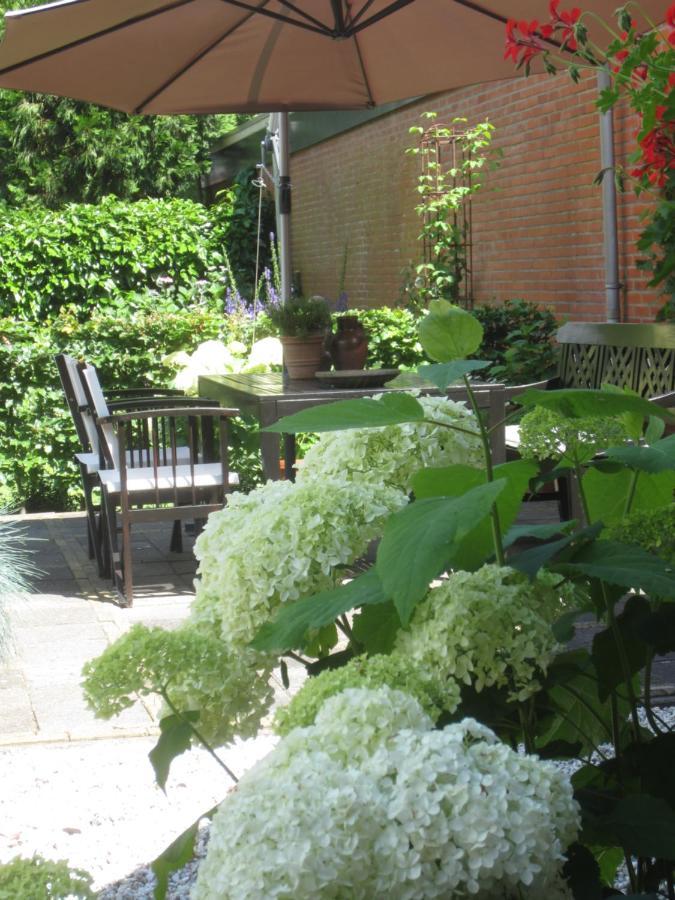 B&B De Gouden Vlo Donkerbroek Exterior foto